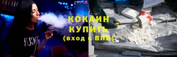 прущие грибы Баксан
