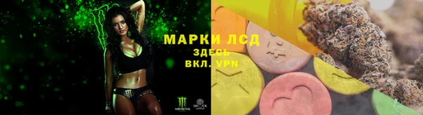 прущие грибы Баксан