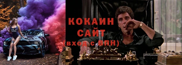 прущие грибы Баксан